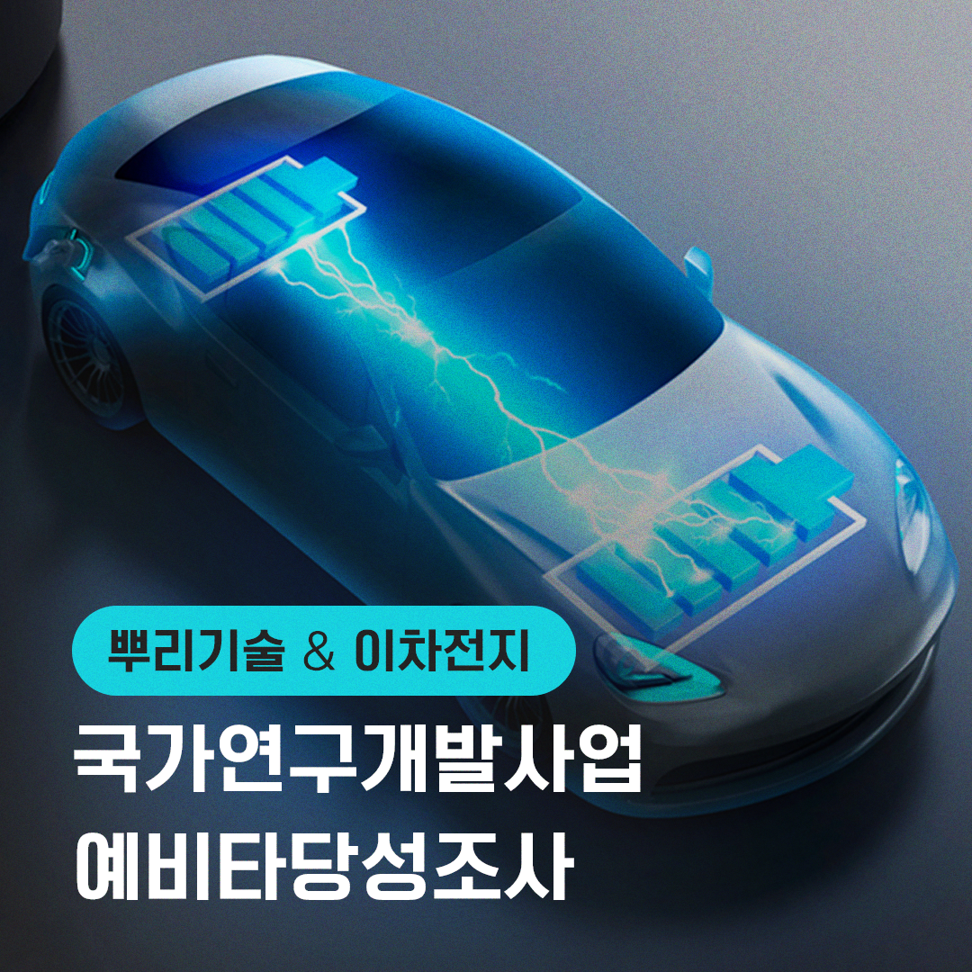 뿌리기술&이차전지 국가연구개발사업 예비타당성조사